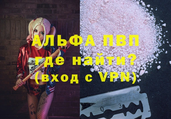 гашик Горно-Алтайск