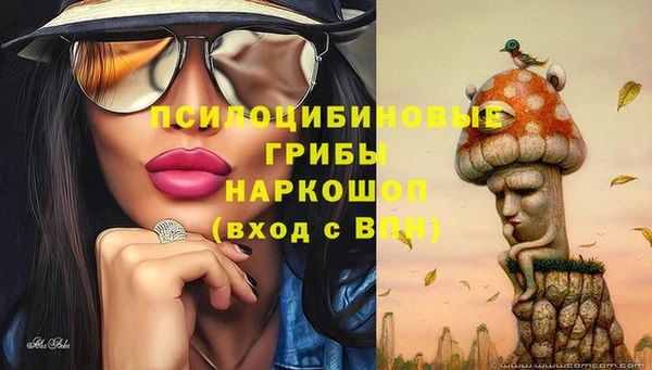 соль курить ск Горнозаводск