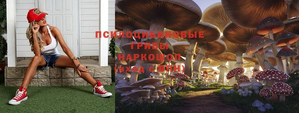 гашик Горно-Алтайск