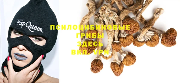 гашик Горно-Алтайск